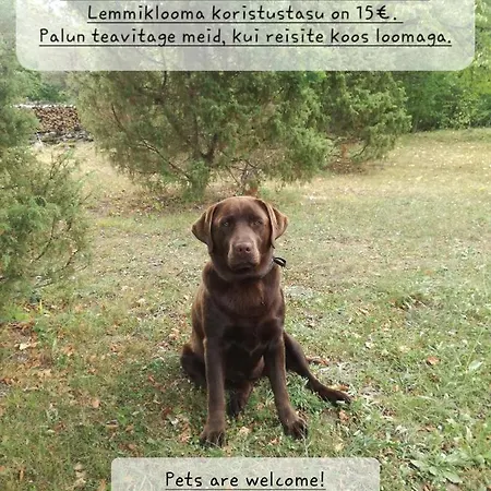 Campingplatz Jaagu Majad